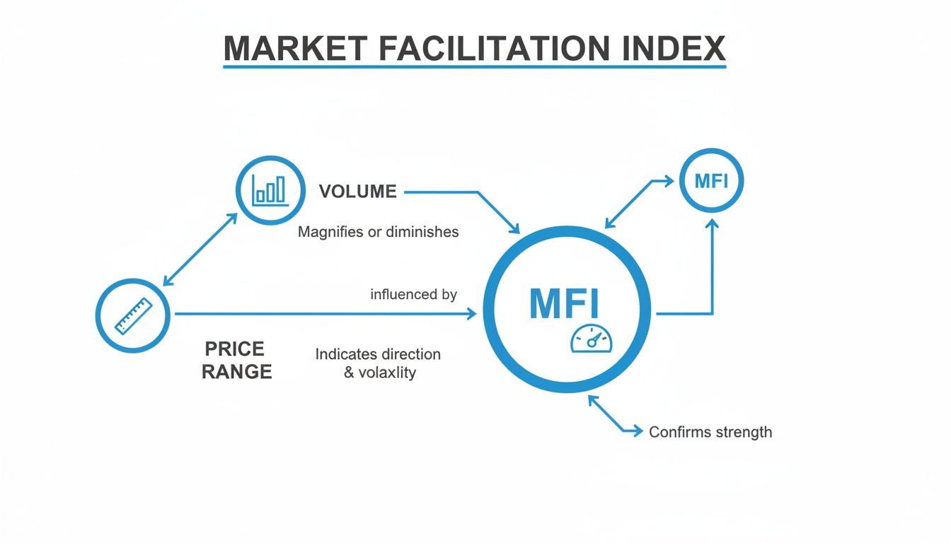 Diagram illustrating the Market Facilitation Index (MFI) and its relationship with Price Range and Volume.