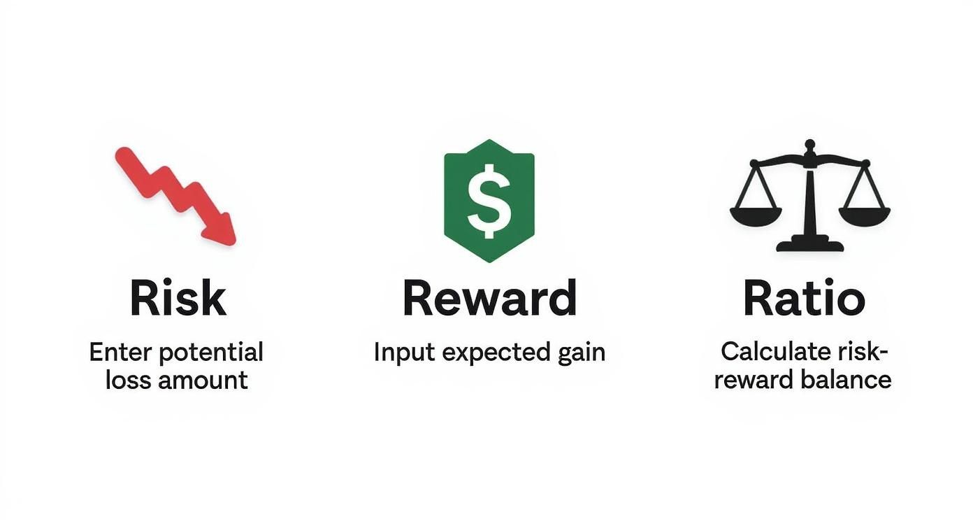 Visual explanation of financial risk, reward, and their ratio using icons and text descriptions.