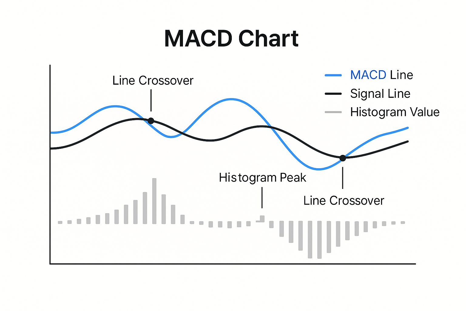 Infographic about how to read macd indicator