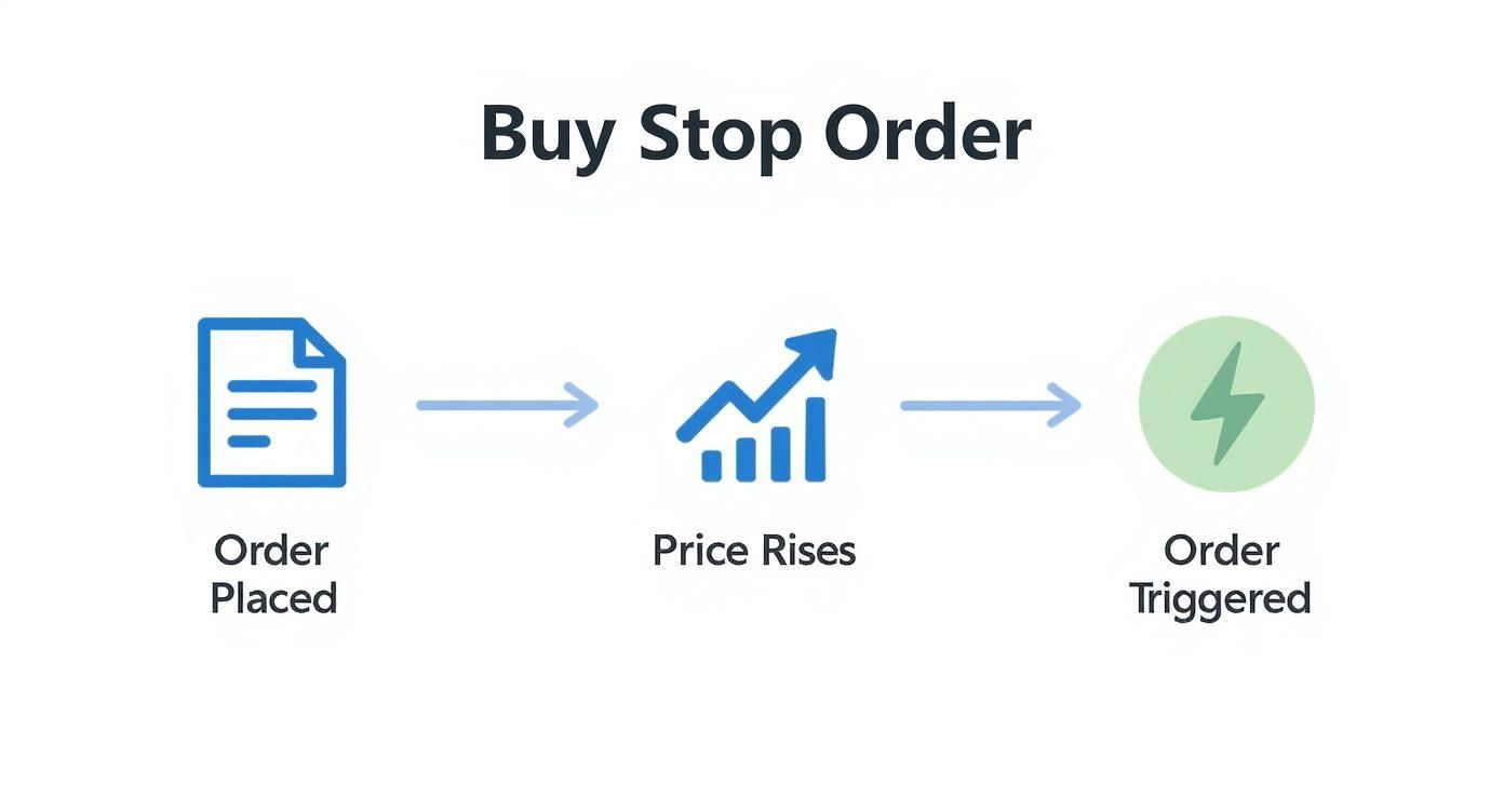 Infographic about what is a buy stop order