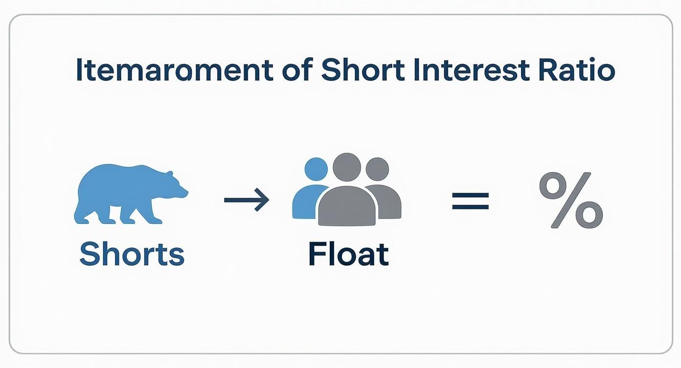 A diagram illustrating the Short Interest Ratio: Shorts (bear icon) divided by Float (people icon) equals percentage.