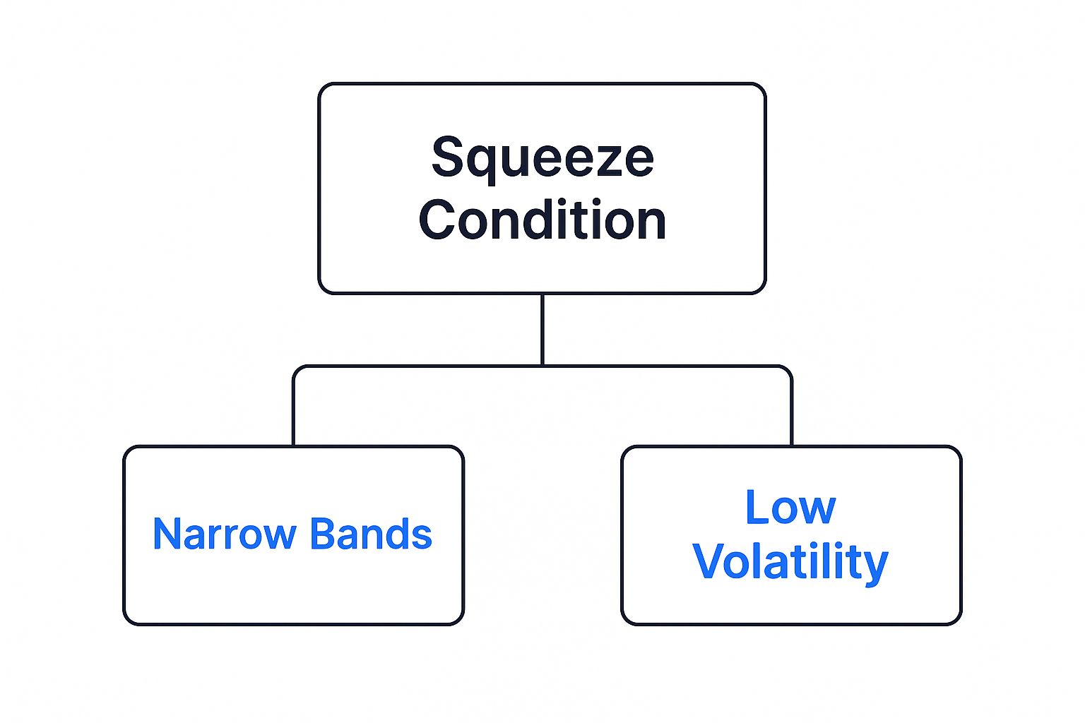 Infographic about bollinger band squeeze