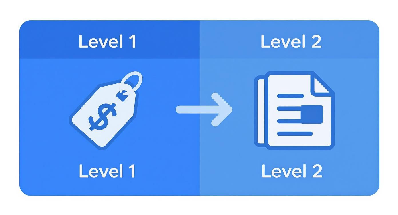 Infographic about level 2 data