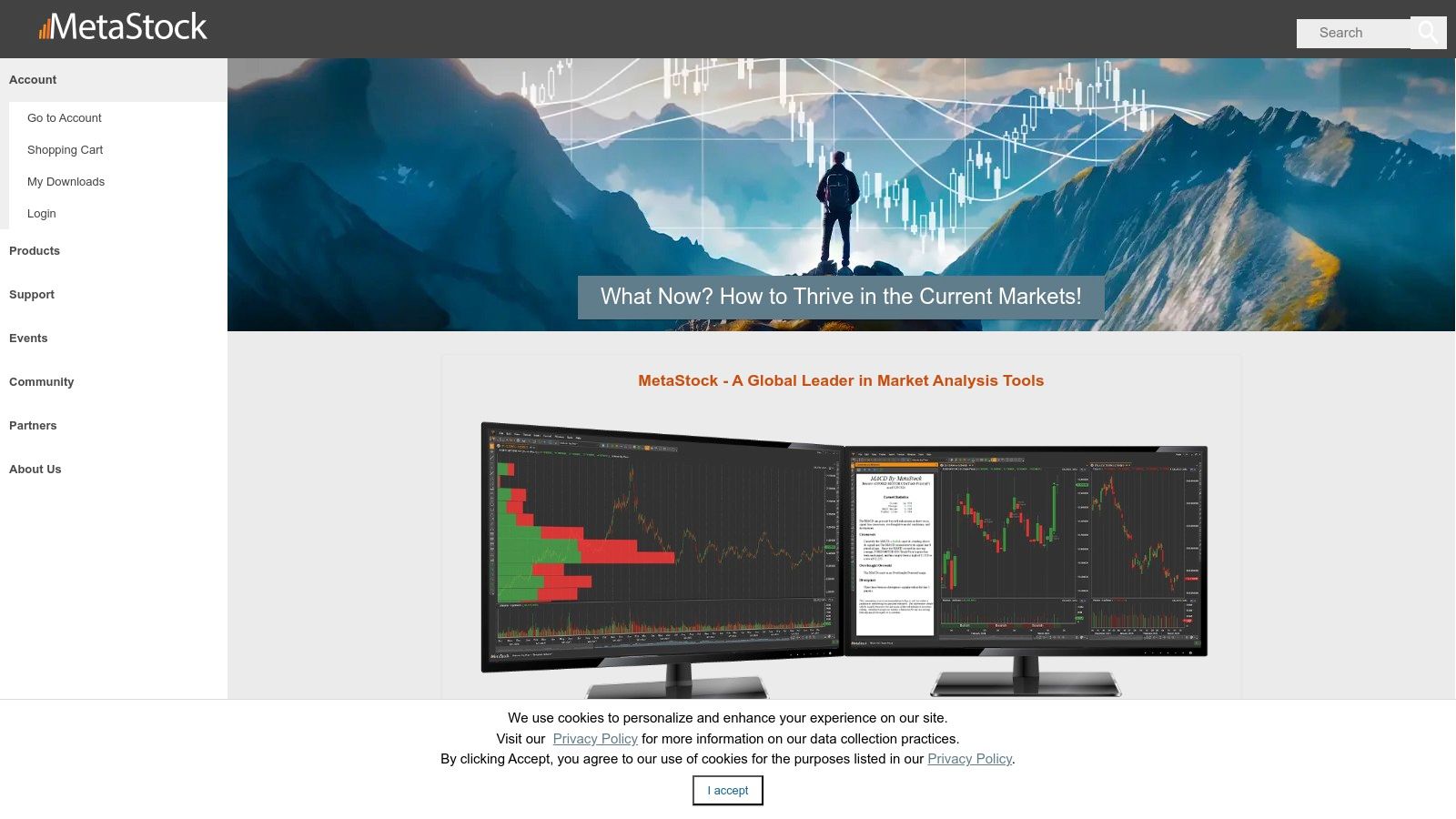 MetaStock