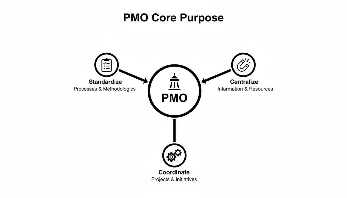 Diagram illustrating PMO's core purpose: to standardize, centralize, and coordinate projects.