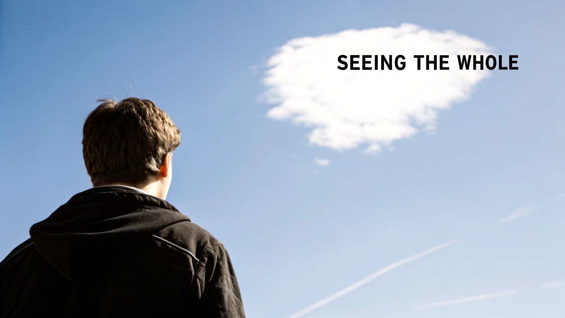 A person from behind looks up at a blue sky with a white cloud and the text 'SEEING THE WHOLE'.
