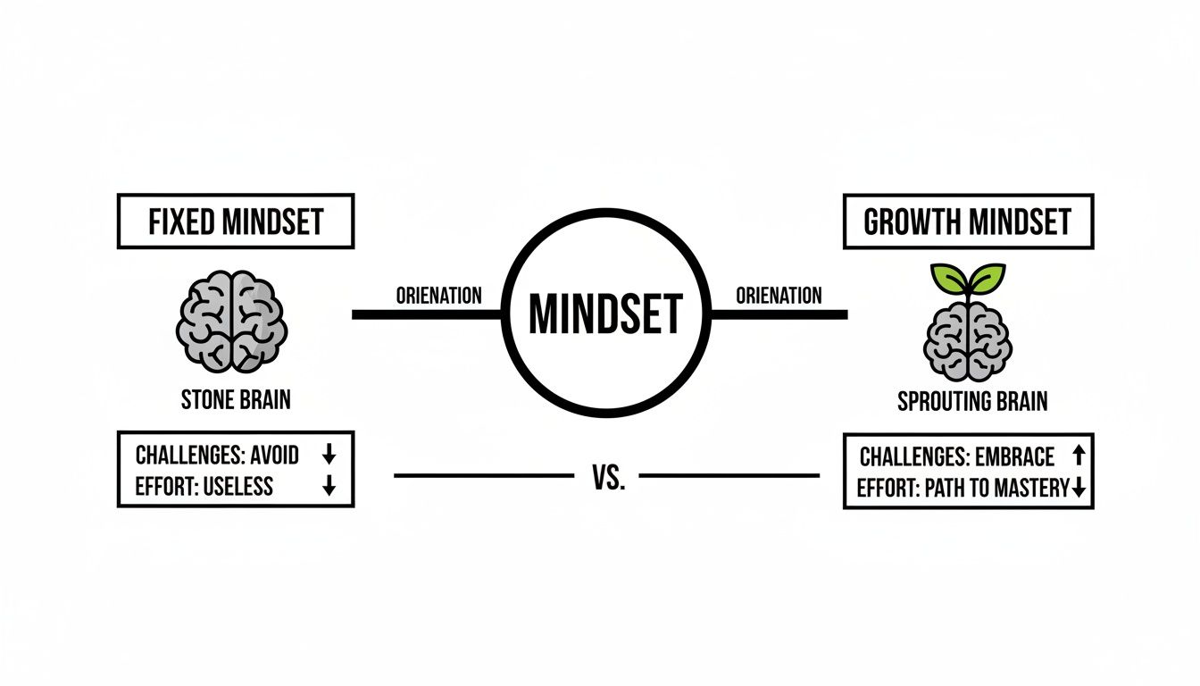 A visual comparison of fixed mindset (avoid challenges, effort useless) and growth mindset (embrace challenges, effort for mastery).