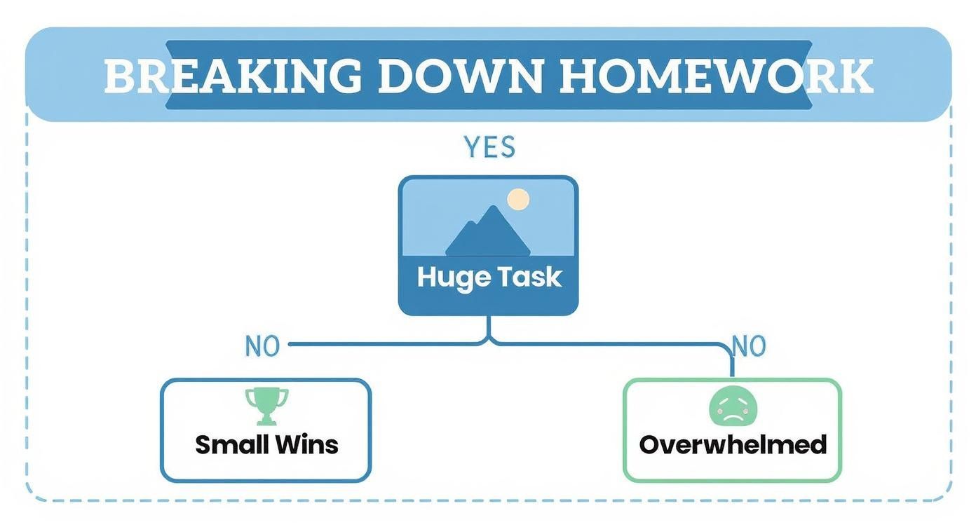 Infographic about how to stop procrastinating on homework
