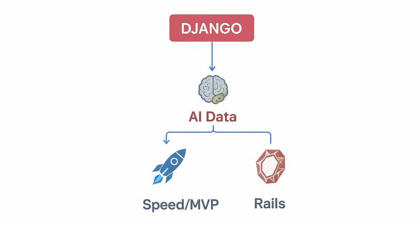 Infographic about django vs ruby on rails