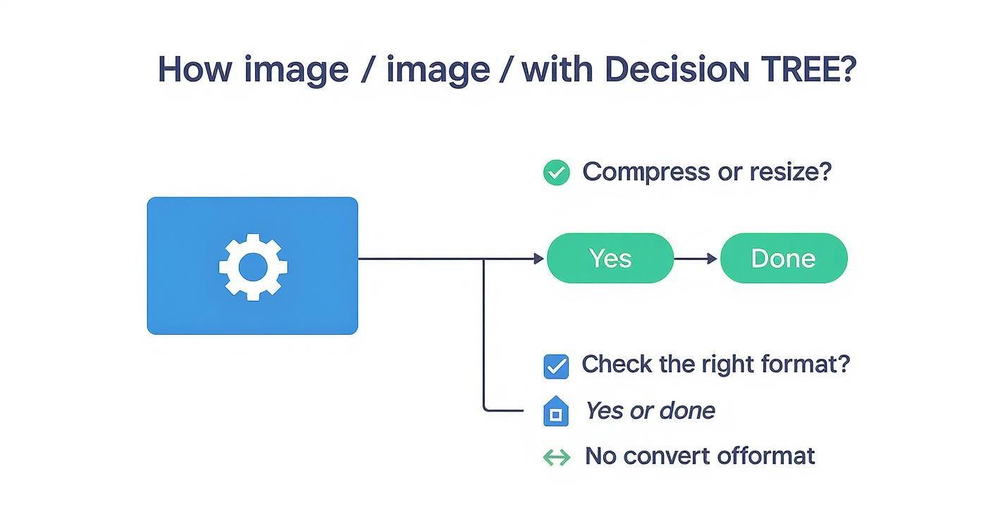 Infographic about how to optimize images for web