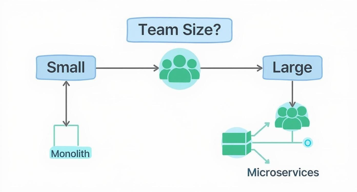 Infographic about microservices vs monolithic architecture