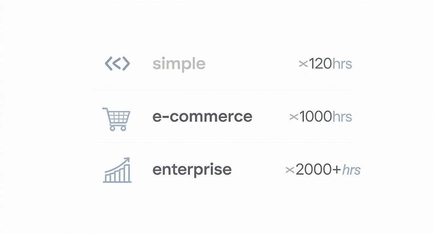 Infographic about web application development cost