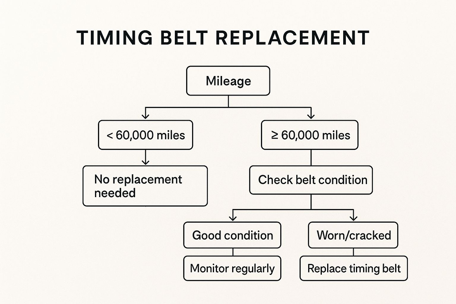 Infographic showing key data about Timing Belt