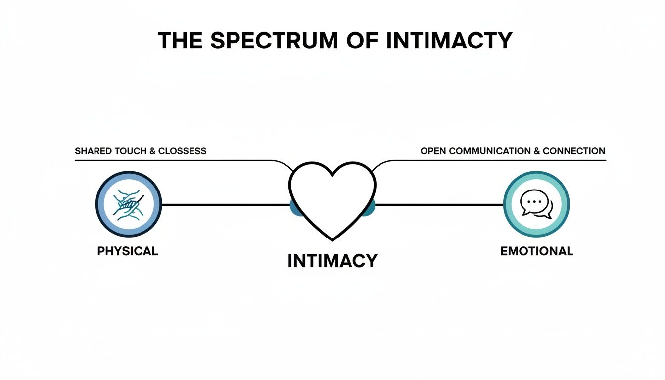 Infographic about the spectrum of intimacy, linking physical closeness to emotional connection.