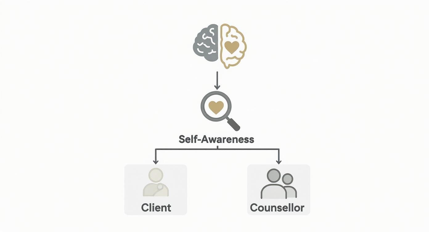 Infographic about self awareness in counselling
