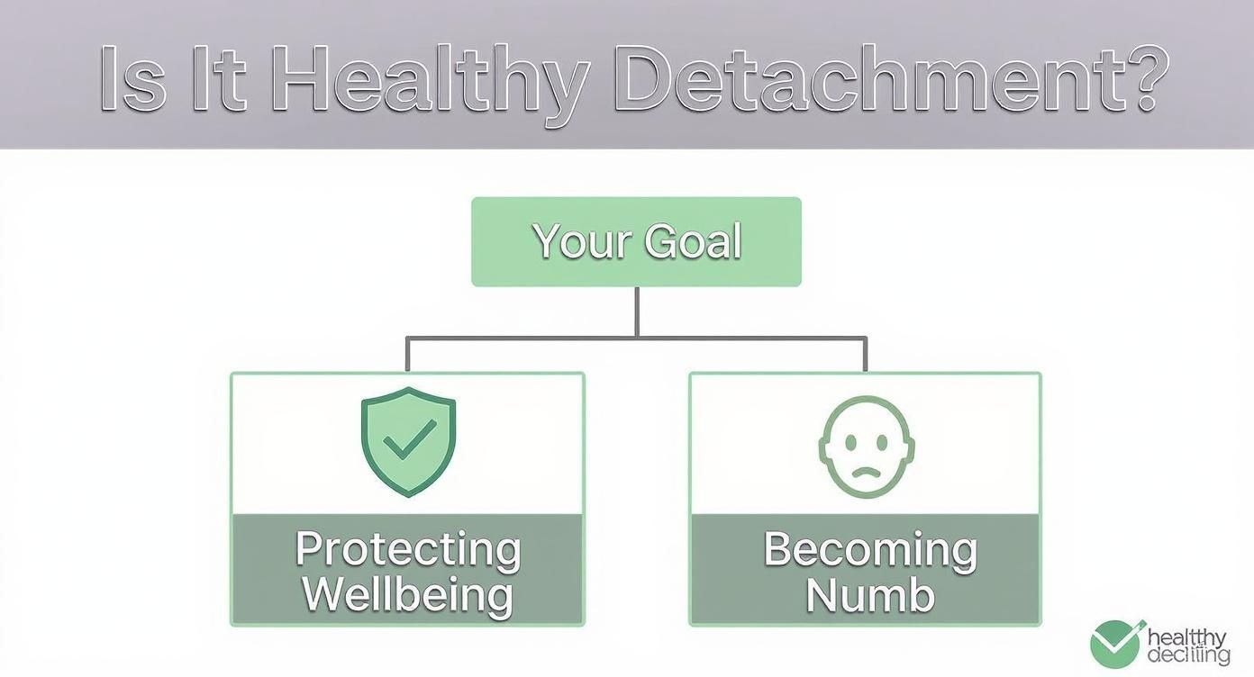 Infographic about how to emotionally detach from someone
