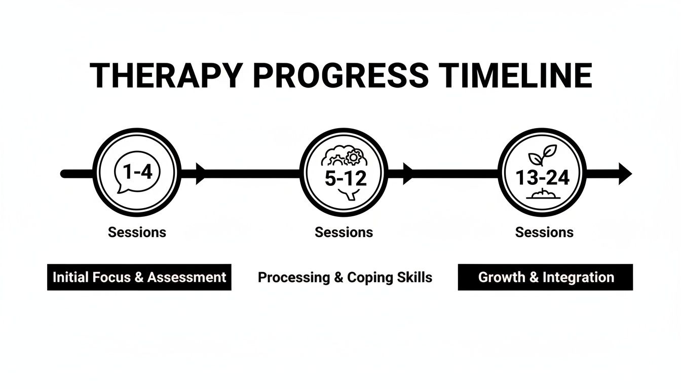 Therapy progress timeline showing three stages: initial focus, processing skills, and growth over 24 sessions.