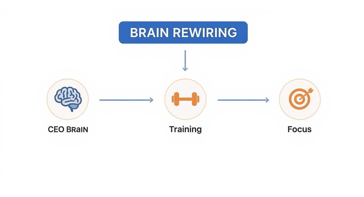 A flowchart illustrating the process of brain rewiring from a CEO Brain, through training, to achieve focus.
