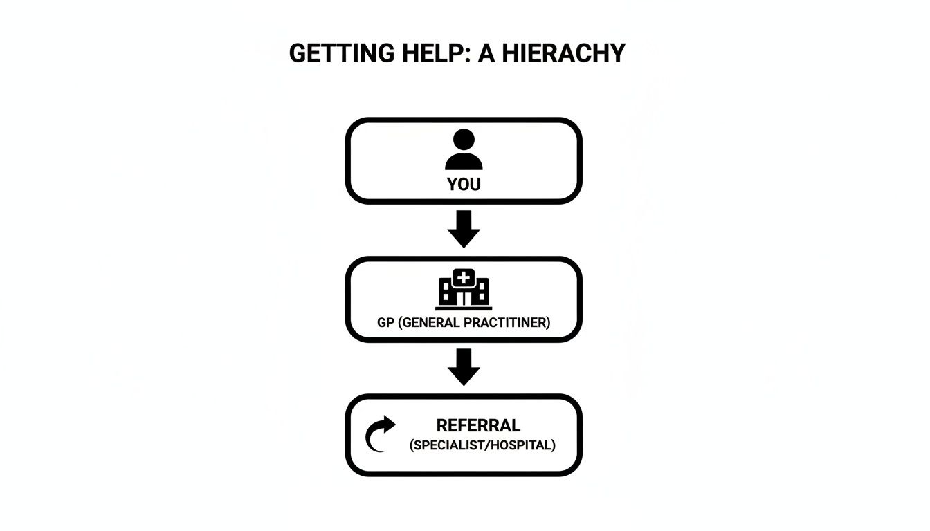 A hierarchy flowchart titled 'Getting Help' showing three levels: You, GP (General Practitioner), and Referral (Specialist/Hospital).