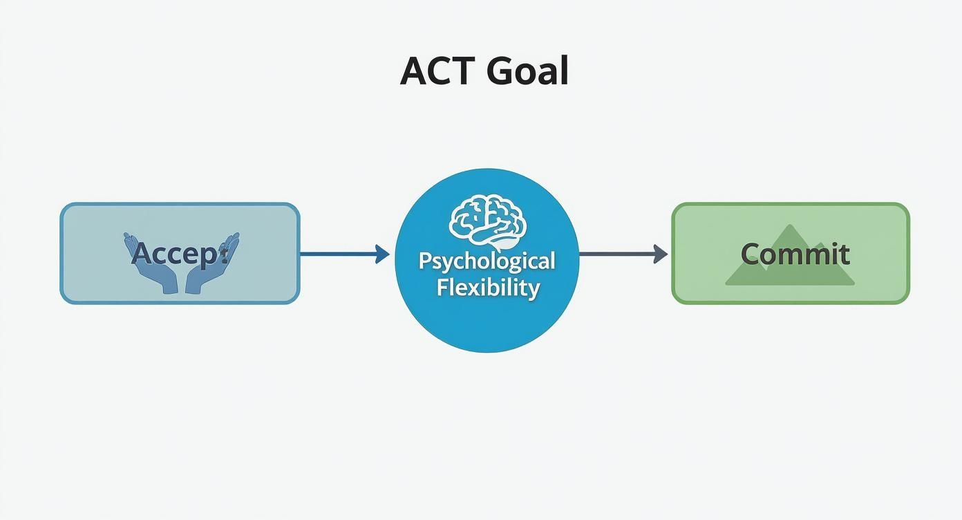 Flowchart illustrating the Acceptance and Commitment Therapy (ACT) goal, showing a progression from Accept to Psychological Flexibility to Commit.
