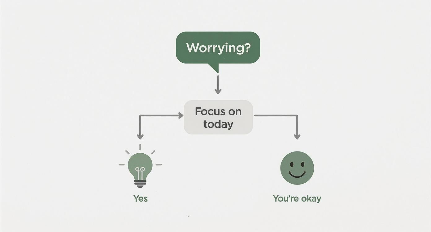Infographic showing a decision tree for future anxiety. The flow starts with 'Worrying?' If 'No', it leads to a smiley face icon. If 'Yes', it leads to a lightbulb icon with the text 'Focus on today'. The chart uses green and grey tones on a white background.