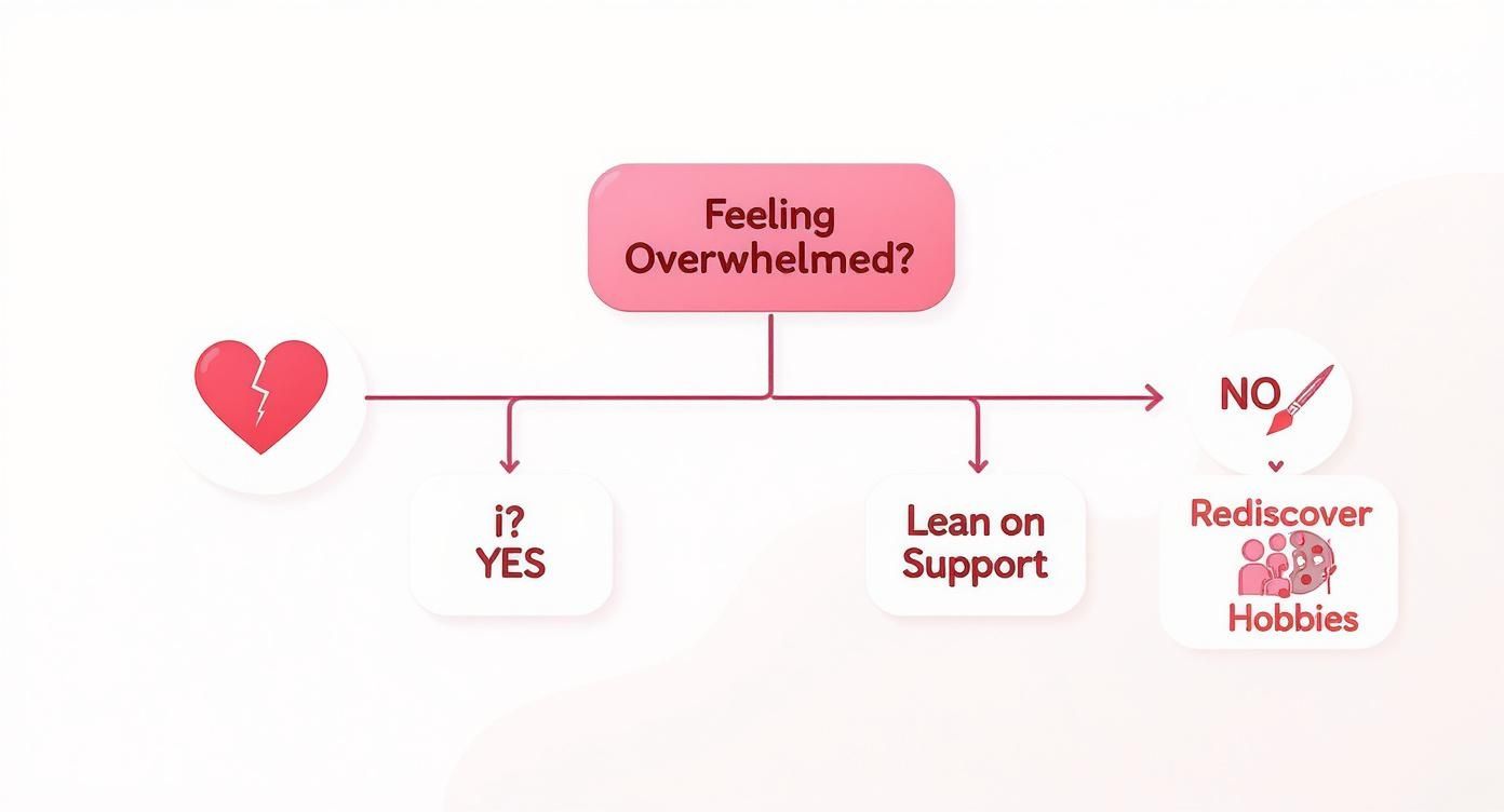 A flowchart offering solutions for feeling overwhelmed, including support, hobbies, and addressing emotional pain.