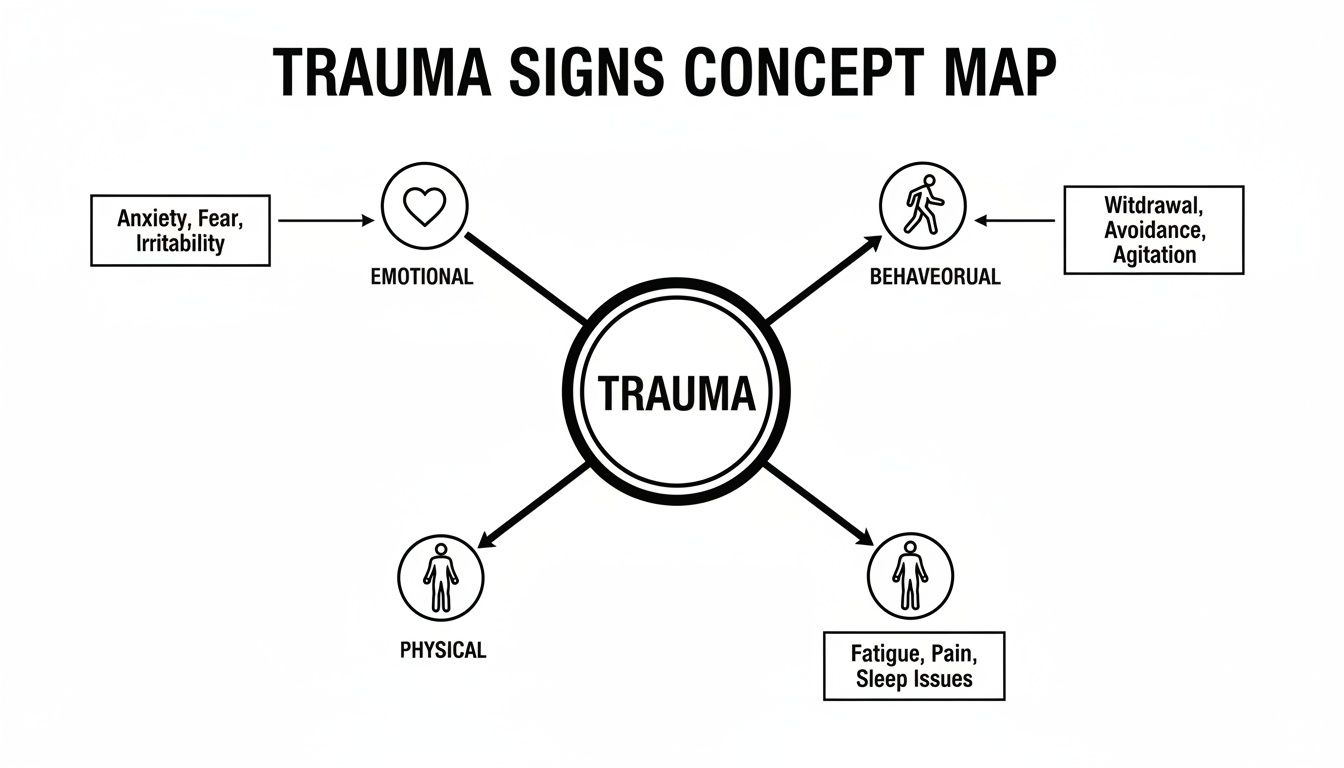 A concept map illustrating trauma signs across emotional, behavioral, and physical categories with specific symptoms.