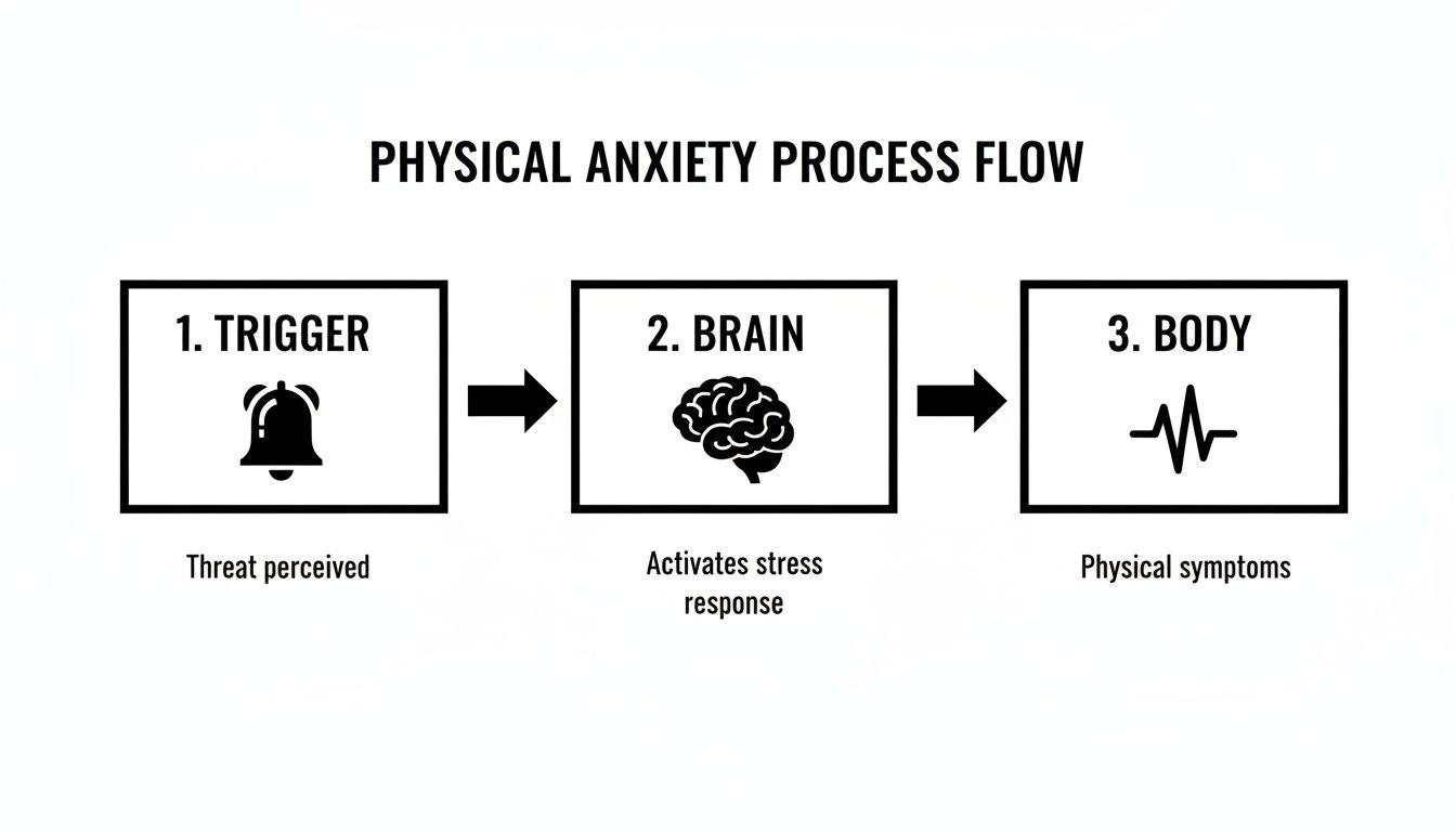 A flow chart illustrating the physical anxiety process: trigger, brain activation, and body's physical symptoms.
