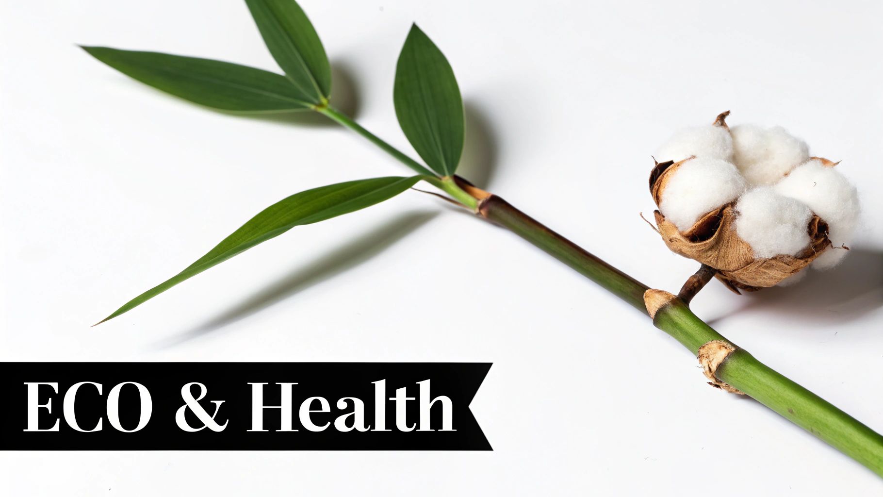 Natural bamboo stem with green leaves and organic cotton boll representing eco-friendly sustainable materials