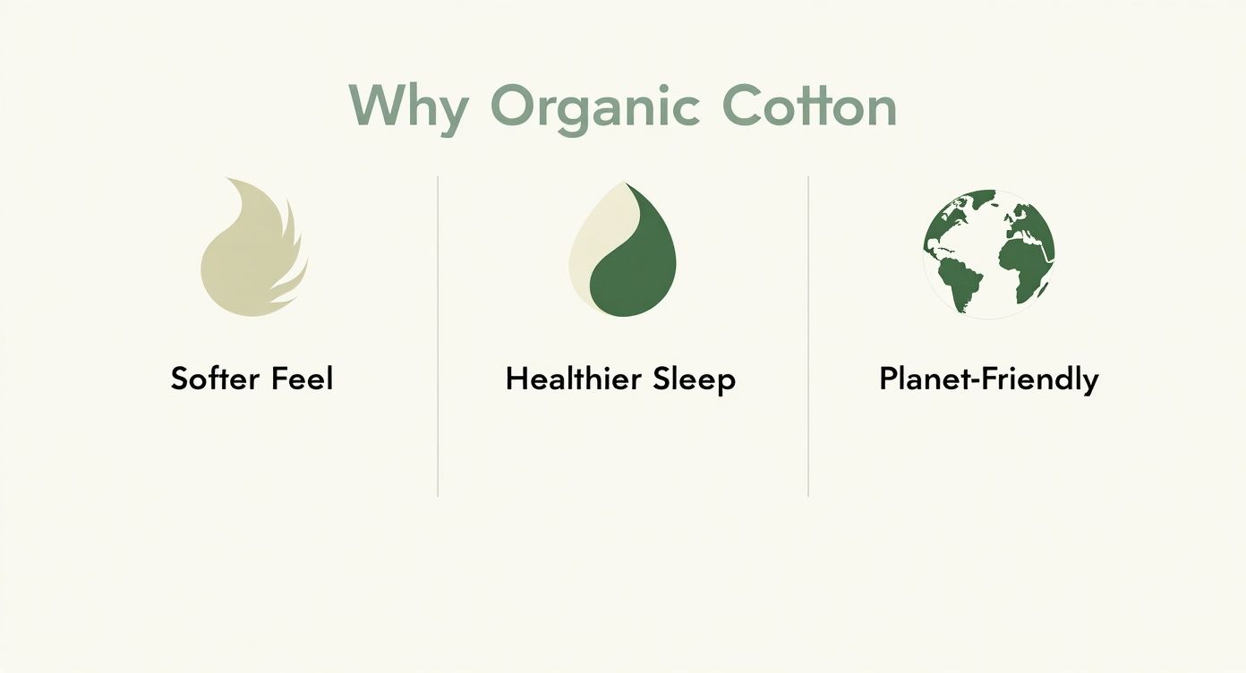 Infographic about cotton sheets organic