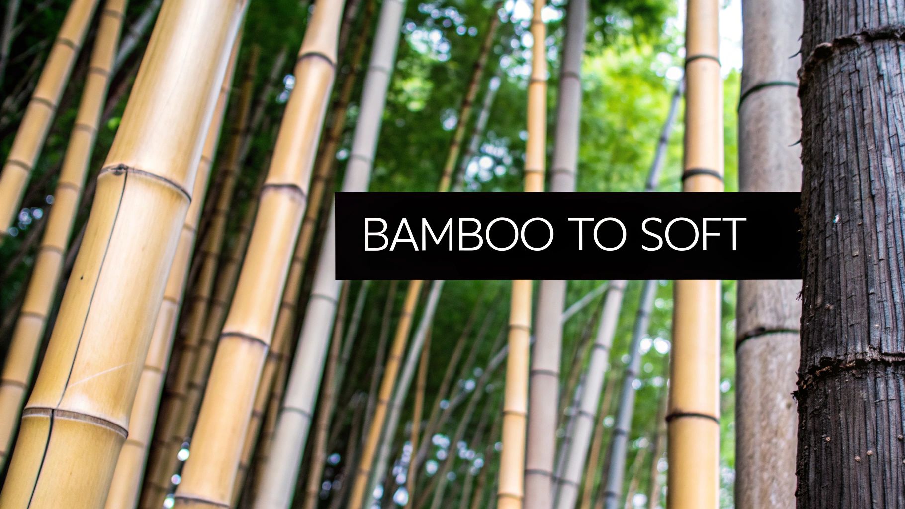 A close-up of harvested bamboo stalks ready for processing.