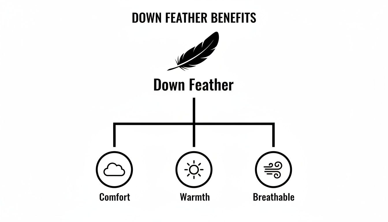 A diagram outlining the benefits of down feather, highlighting comfort, warmth, and breathability.