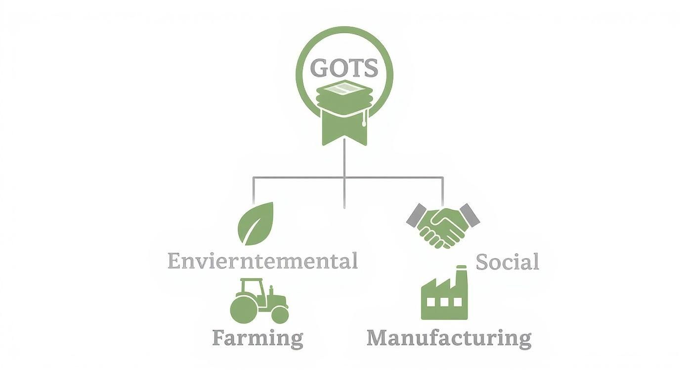 Infographic about organic bedding australia