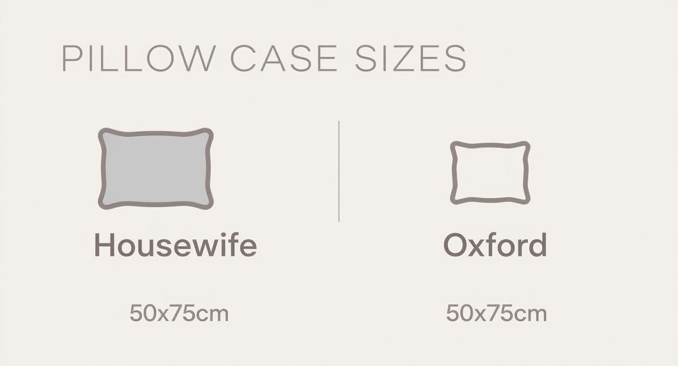 Infographic about full size bedding measurements