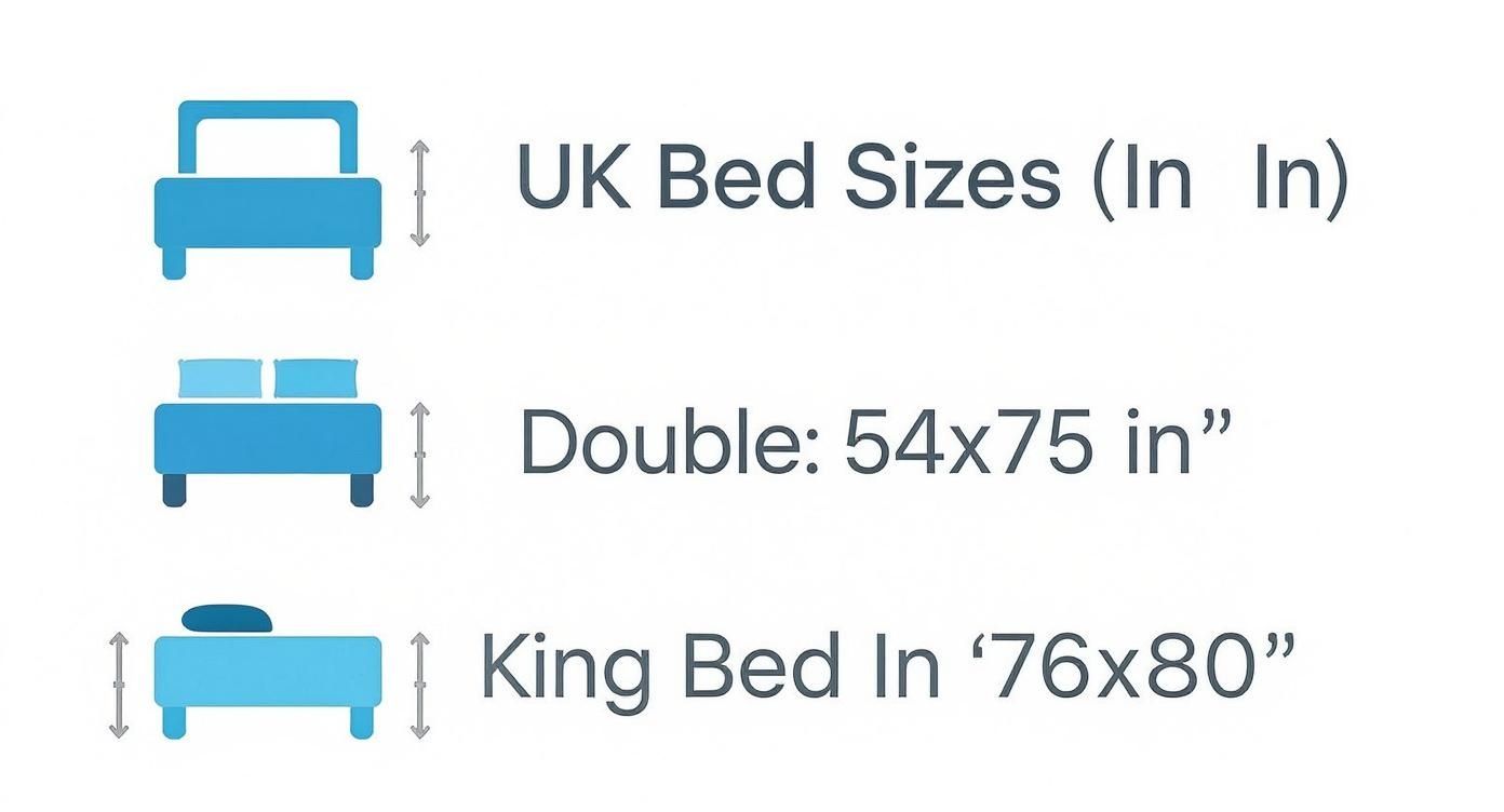 Infographic about bedding sizes in inches