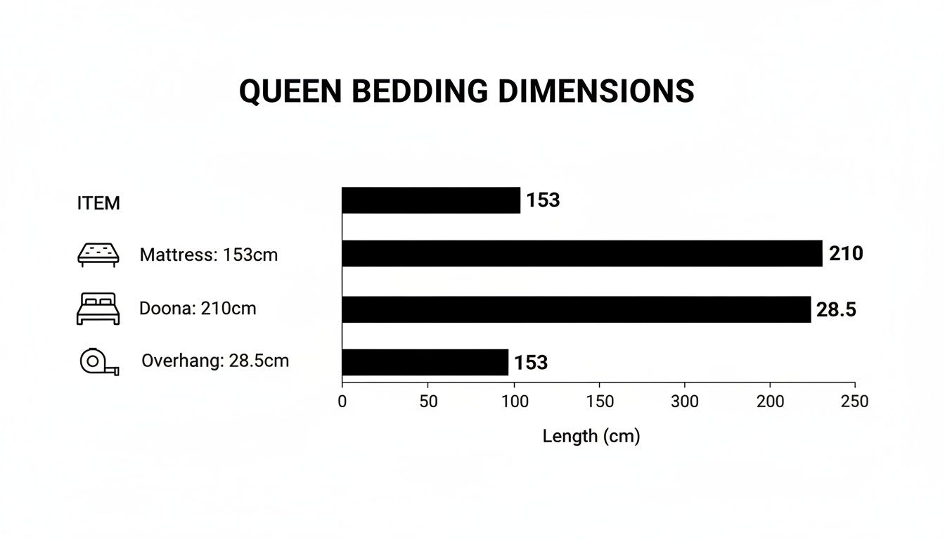Bar chart displaying queen bedding dimensions in centimeters for mattress, doona, and overhang.