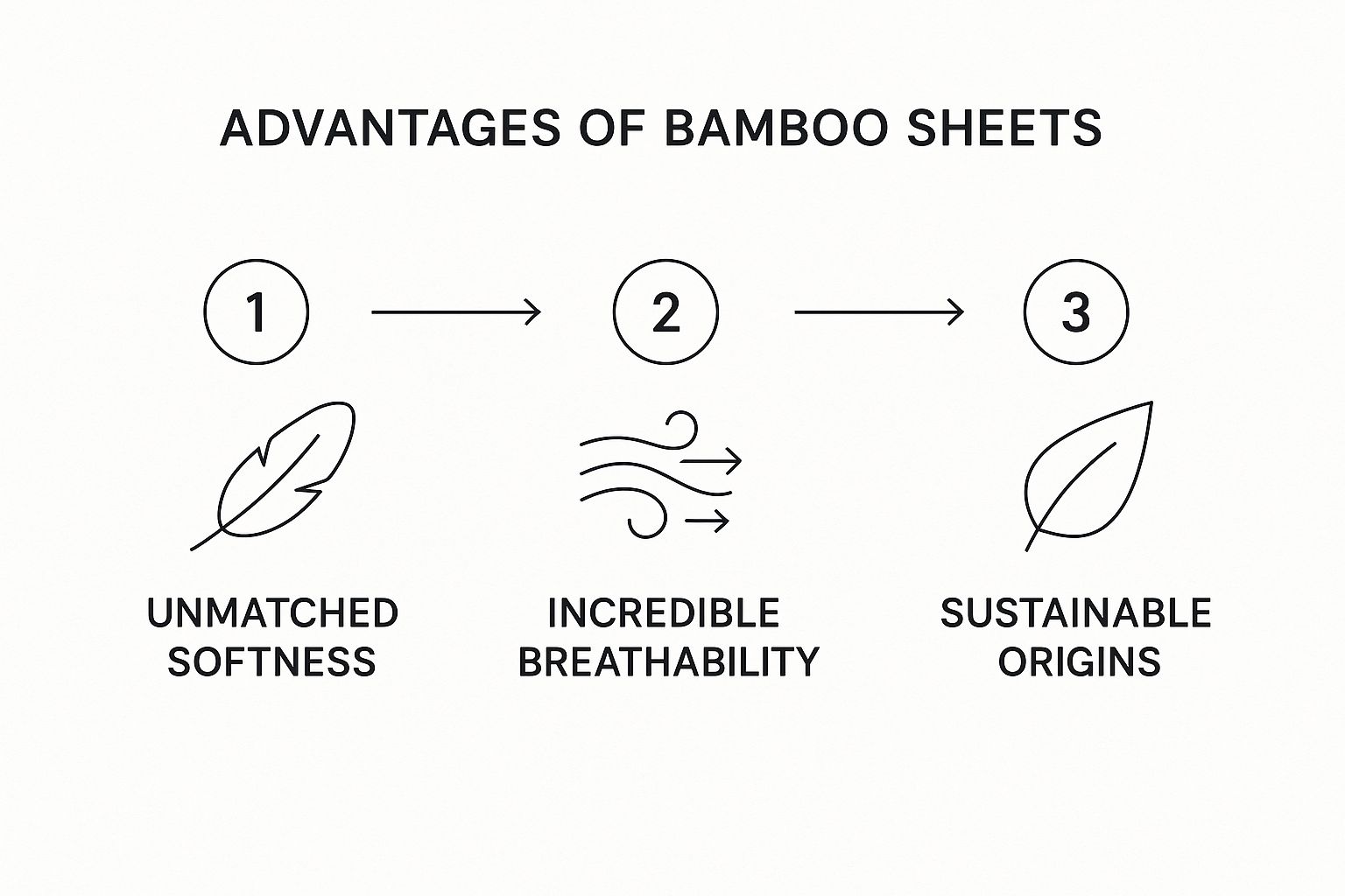 Infographic about bamboo sheets bed