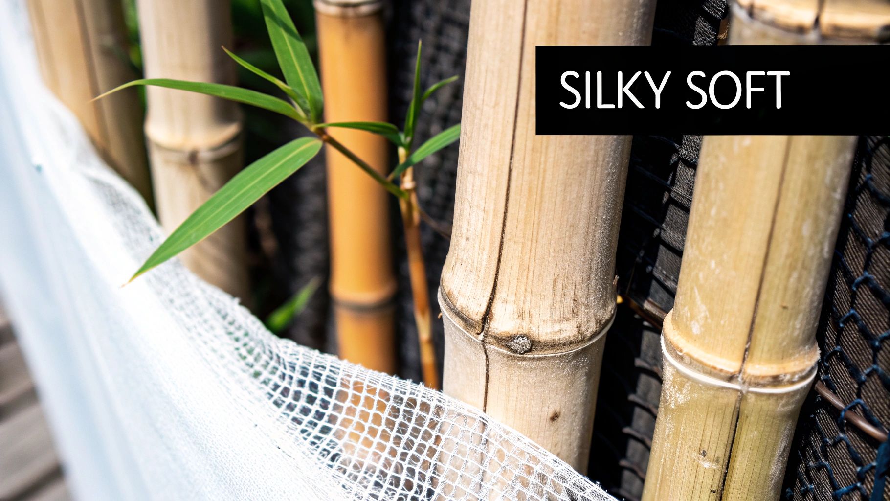 Bamboo stalks being harvested to create fabric.