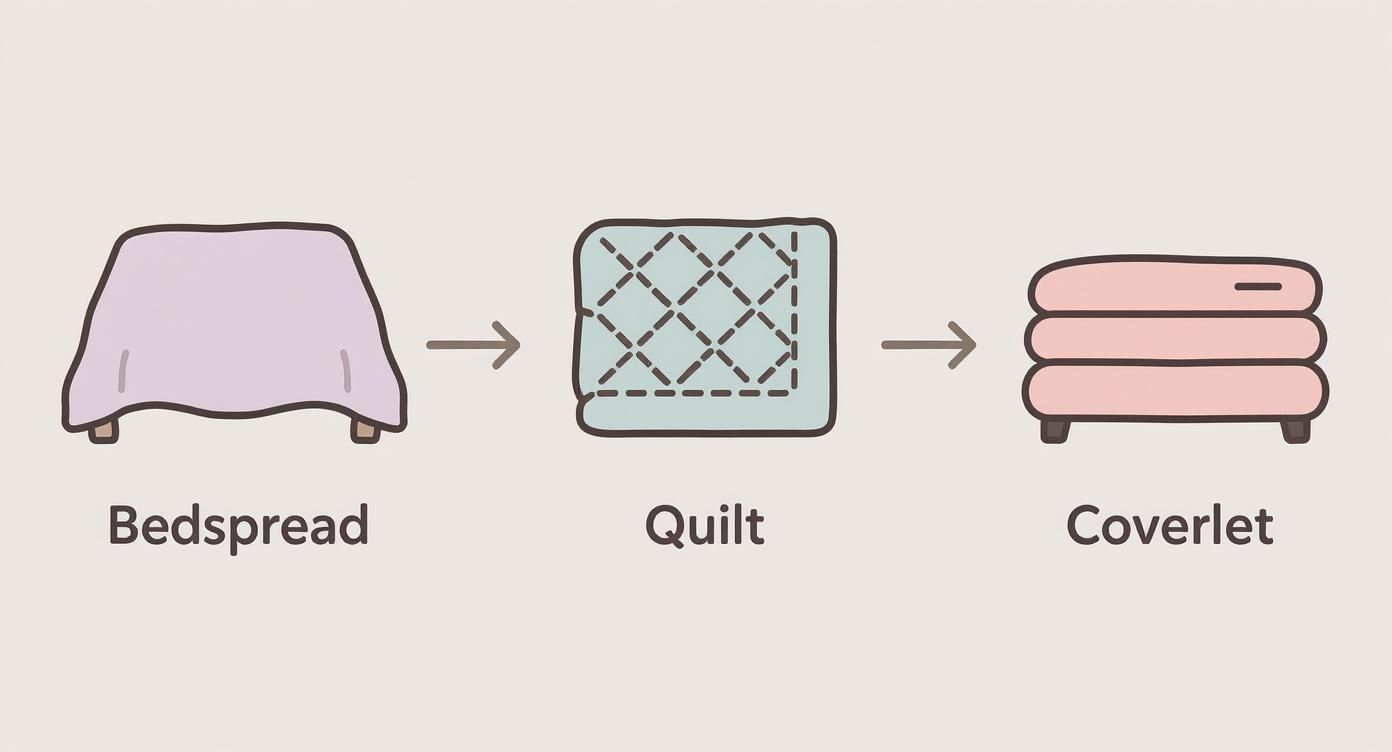 Illustration comparing a large bedspread, a medium quilt, and a smaller folded coverlet.