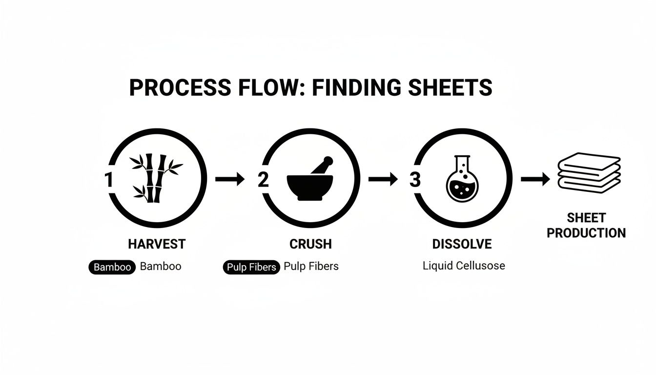 A process flow diagram illustrates the steps to create sheets: harvest bamboo, crush into pulp, dissolve into liquid cellulose, leading to sheet production.