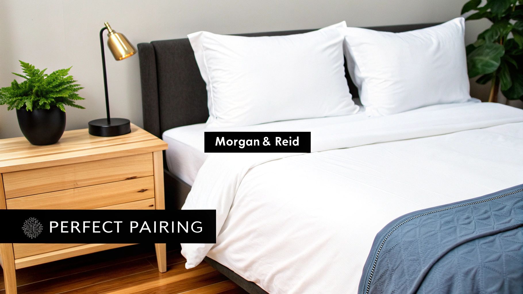 A cozy bedroom with a white bed, wooden nightstand, gold lamp, and a vibrant green plant.