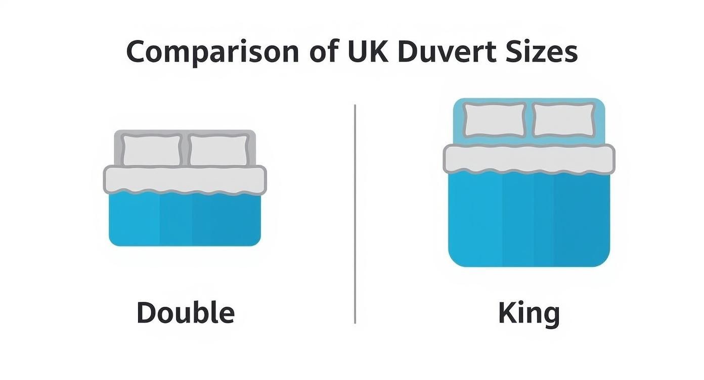 Side by side comparison illustration showing UK double and king size duvet dimensions with bed graphics