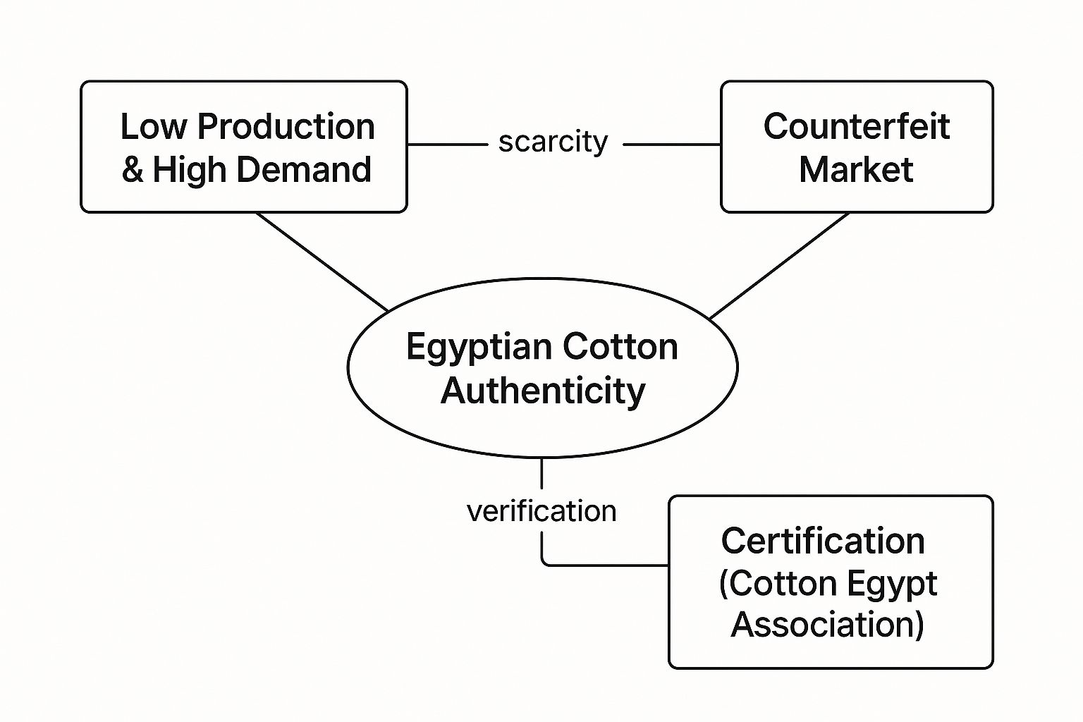 Infographic about egyptian cotton sheets