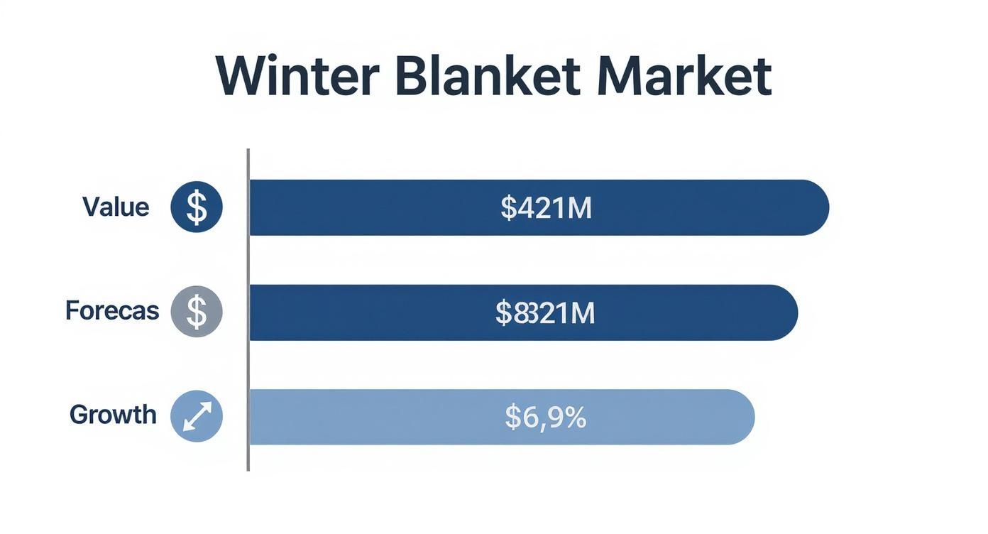 Infographic about best blankets for winter