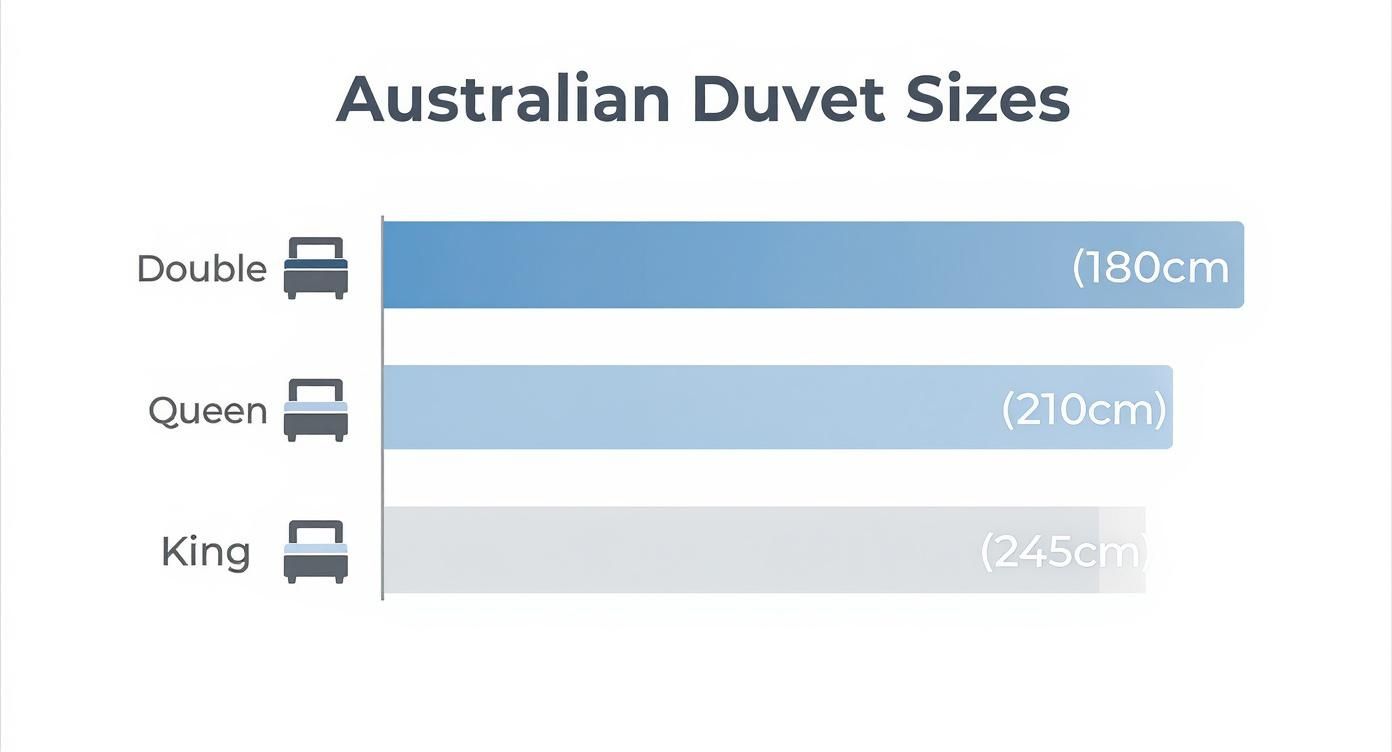 Infographic about size of queen duvet cover