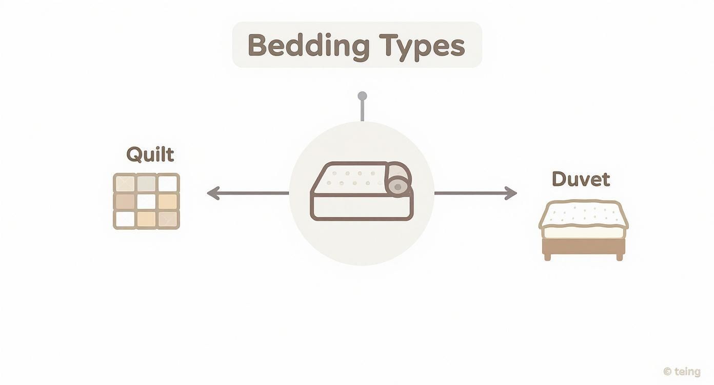 Infographic about comforter