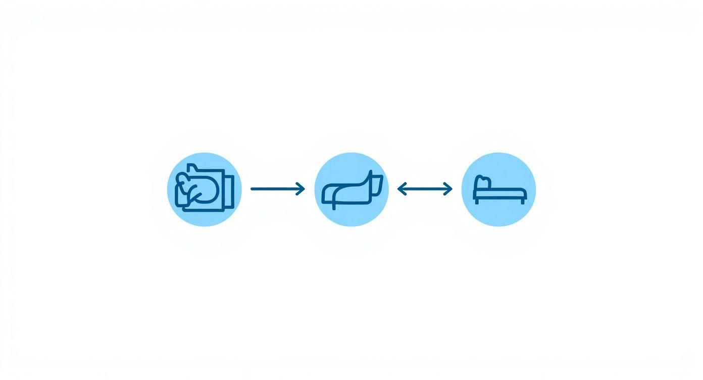 Infographic about king single doona size