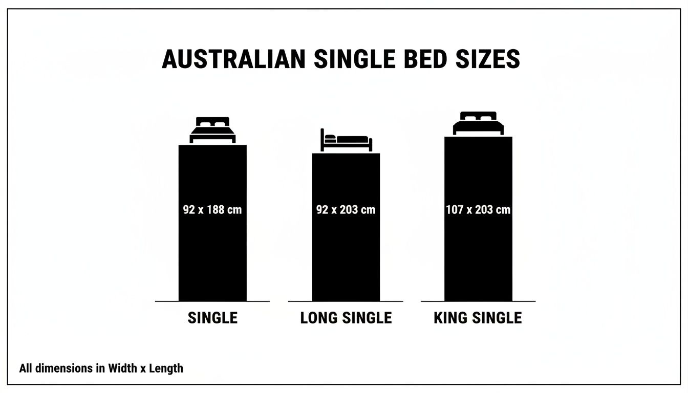 Diagram showing Australian single bed sizes: Single (92x188cm), Long Single (92x203cm), King Single (107x203cm).