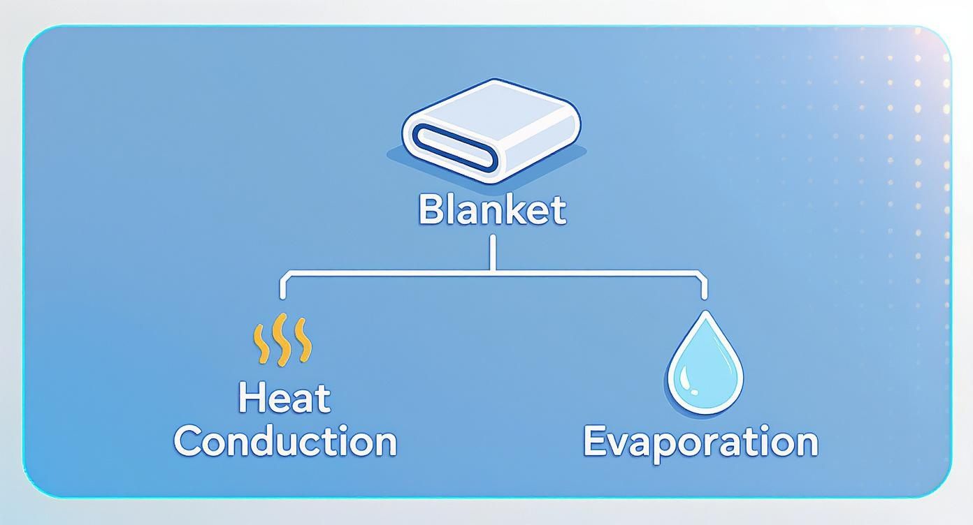 Diagram showing blanket with two branches: heat conduction and evaporation for cooling effect