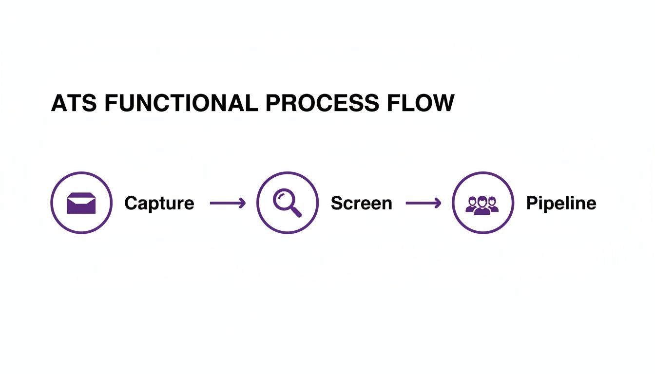 A functional process flow for an Applicant Tracking System (ATS), showing capture, screen, and pipeline stages.